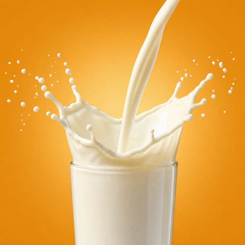 Yogo Whey + Creatine - High-Protein Shake 15 serv (2)