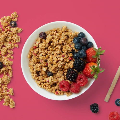 Protein-Granola - Waldfrüchte 250 g (2)