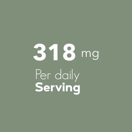 Saw Palmetto Extract 60 caps (6)