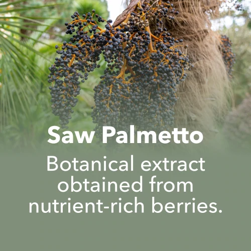 Saw Palmetto Extract 60 caps (7)