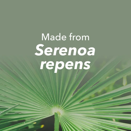 Saw Palmetto Extract 60 caps (8)