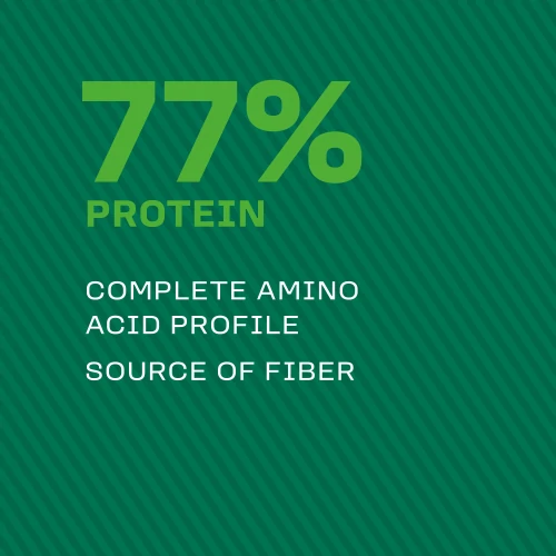 100% veganes Protein 700 g (6)