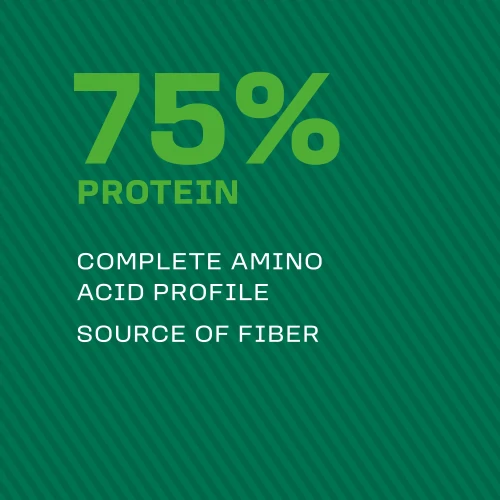 100% veganes Protein 700 g (6)
