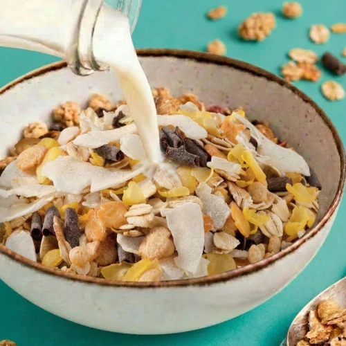 Protein Muesli 400 g Schokolade und Kokosnuss (10)