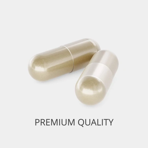 Ginkgo Biloba 90 caps (2)