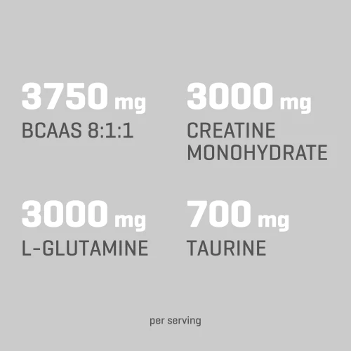 Amino Recovery 20 servings (6)