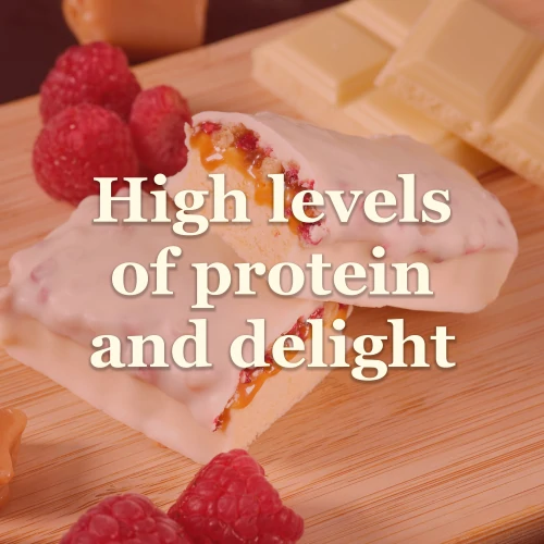 Protein Gourmet Bar x 12 (8)