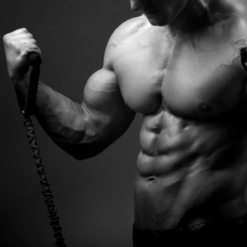 Prime Mass Gainer 2722 g (5)