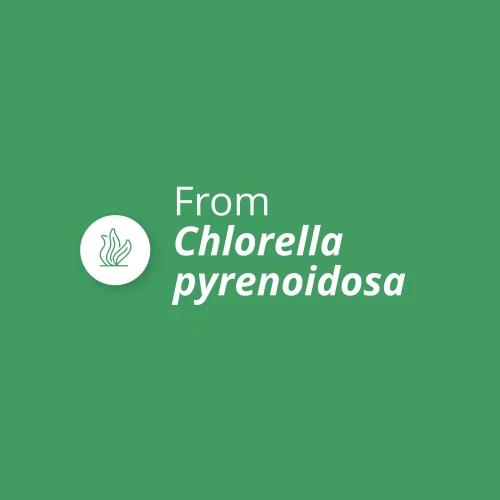 Clorella 1500mg 90 compresse (4)