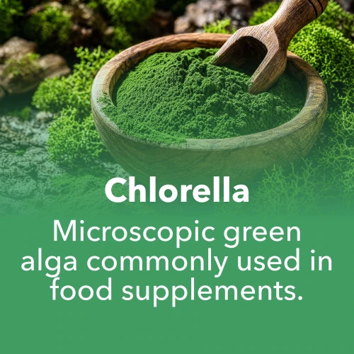 Clorella 1500mg 90 compresse (7)
