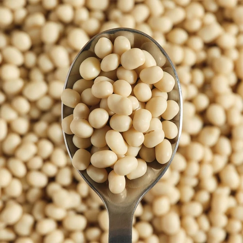 v1848222 prozis_protein-puffies---white-chocolate-coating-150-g_video_quadrado.webp