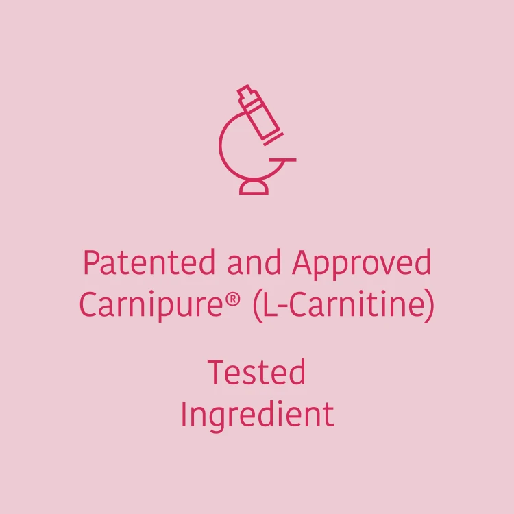 xtreme l carnitine prozis Xtreme L-Carnitine 60 caps main image 0