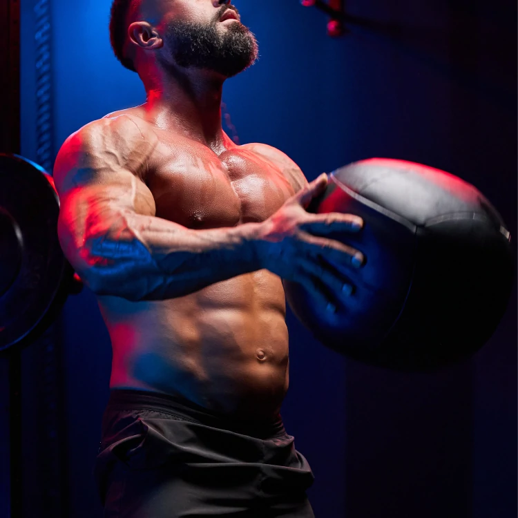 l carnitine deficiencies L-Carnitine