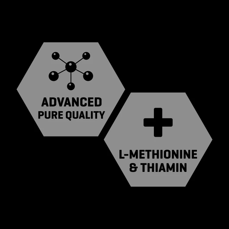 Xtreme L-Carnitine 60 caps - Pérdida de Peso