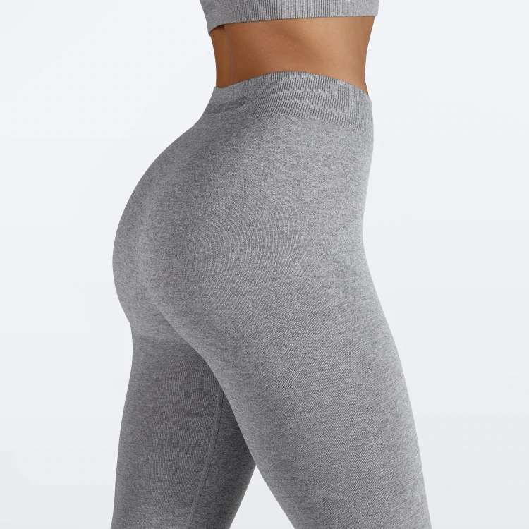 Legging Taille Normale Alpine - Light Gray Melange